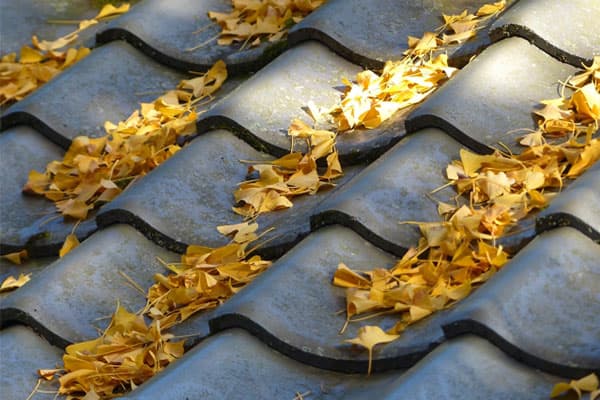 屋根板金の注意すべき症状：ゴミや落ち葉が溜まる